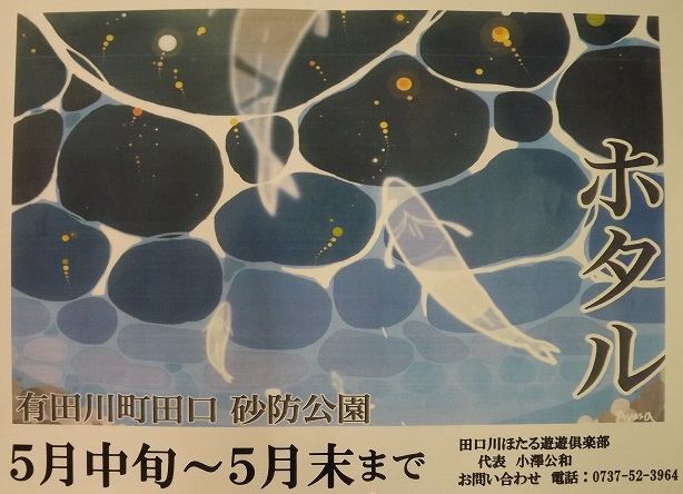 地域情報　有田川町田口 砂防公園の「ホタル観賞」