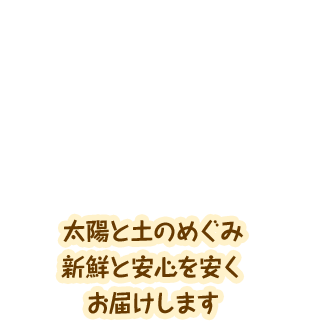 太陽と土のめぐみ 新鮮と安心を安くお届けします