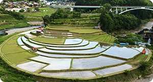 地域の紹介